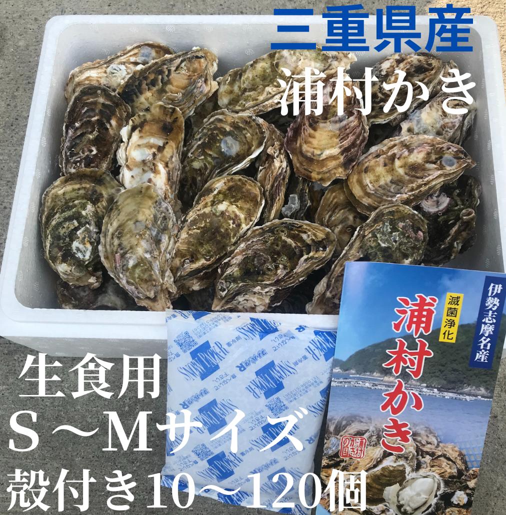 【生で食べれる美味い牡蠣】【生牡蠣】【生食用】S~Mサイズ 三重県産 殻付き 浦村かき お好きな数量が選べる、10個~120個入り、殻付き牡蠣牡蠣 カキ 貝類 海鮮 BBQ バーベキュー お歳暮 熨斗 ギフト 新年会 女子会 母の日