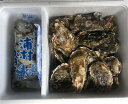 えっ、こんなに⁉ 牡蠣好き歓喜の20%増量中!【贈り物に最適!】【生牡蠣】【生食用】三重県産 浦村かき むき身500g+S〜Mサイズ殻付き20個 1...