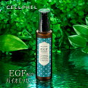 美容液 EGF 25%UP 高配合 保湿 乾燥 敏感肌 毛穴