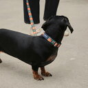 ※予約販売【andblank】FLOWER LION COLLAR 韓国 ブランド かわいい おしゃれ プレゼント 小型犬 首輪 ハーネス リード 散歩グッズ ...