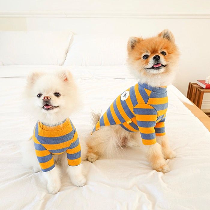 ¨Ǽnouttinoussi border T-shirtʥߥ֥롼 ڹ ֥ 襤  ץ쥼  ...