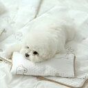 ※予約販売【ITS DOG】Forpe Ice Pouch ITS DOG Forpe Ice Pouch 蒸し暑い夏 必需品 くまさんイラスト ひんやりアイスポーチ メーカー人気商品 在庫がなくなり次第販売終了 韓国ブランド ポリエステル55%