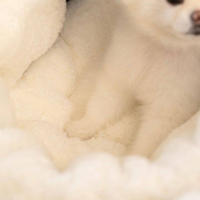 ¨ǼnouttiMiffy Boris Stroller Liner ڹ  ɥåå ɥå    ...