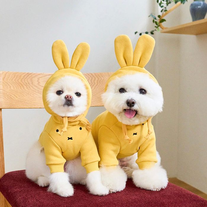 予約販売【noutti】Miffy hood MTM Mustard 韓国 ブランド かわいい おしゃれ プレゼント 小型犬 miffy ミッフィー お揃い NEW 春 秋 冬 丈夫