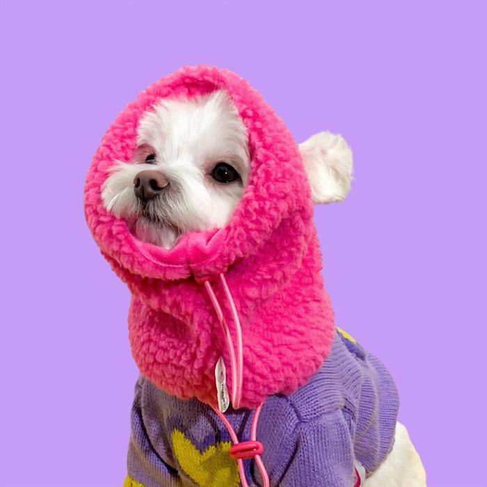 ※予約販売【TOOF】PUPPY NECKWARMER（Pink） 韓国 ブランド かわいい おしゃれ プレゼント 小型犬 NEW 秋 冬