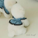 ※予約販売【BeBe Breath】Bustier Denim 韓国 ブランド かわいい おしゃれ プレゼント 小型犬 NEW 春 夏 秋 便利