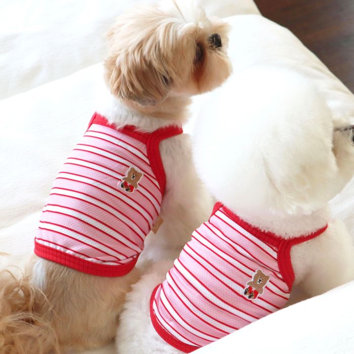 ¨ǼDURANG RURANGStripe Bear Cool-TCherry Pink  ɥå   ...