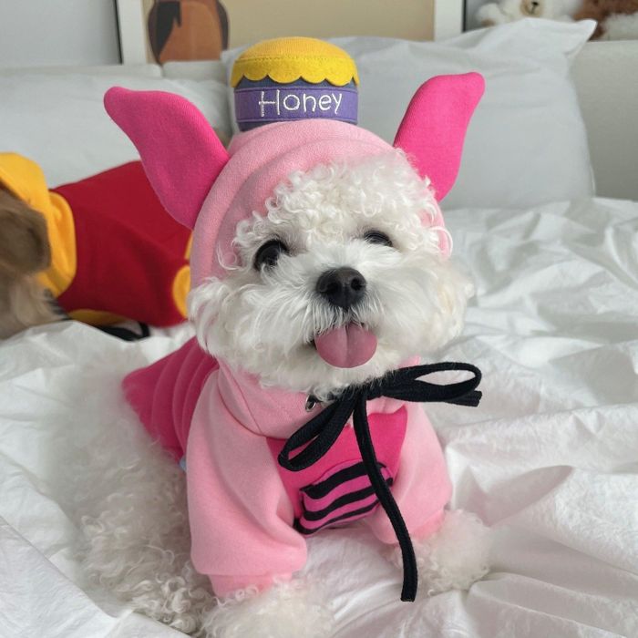 即納【ohha】Honey pig 韓国 ブランド かわいい おしゃれ プレゼント 小型犬 キャラクター NEW 春 秋 冬 犬