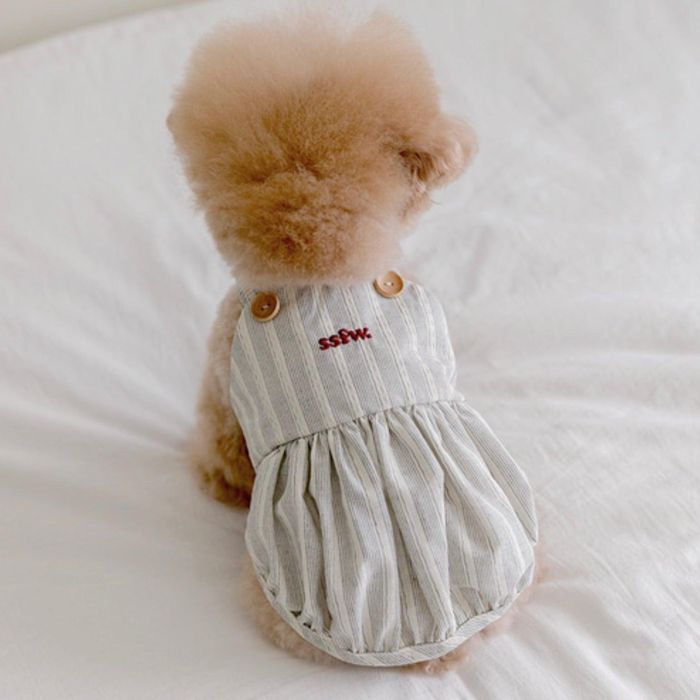 ※予約販売【ssfw】Croissant Balloon Top（Black）