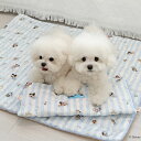※予約販売【ITS DOG】Disney Rayon Cooling Mat(Friends Blue) 韓国 犬用品 ドッググッズ マット 犬マット ペット用マット ペットマット 犬用マット ディズニー disney
