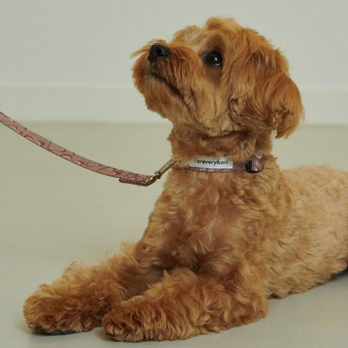 ※予約販売【foreverybari】Marble Heart Pet Collar（Chocolate） 韓国 犬用品 ドッググッズ 首輪 犬の首輪 ドッグカラー 犬首輪 犬用首輪 小型犬 小型犬服