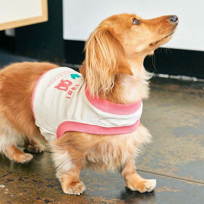 ※予約販売【munikund】One Hole Crop (Pink Beige) 犬服 ドッグウェア 犬の服 スリーブレス 犬用品 ド..