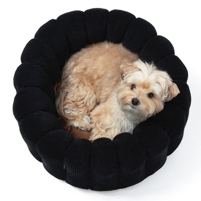 ※予約販売【azallea】Canele Cushion（corduroy black） 犬用品 ドッググッズ ドッグクッション 犬クッション 犬用クッション ペットクッション 犬ベッド 犬用ベッド ドッグベッド 寝床 犬ベット