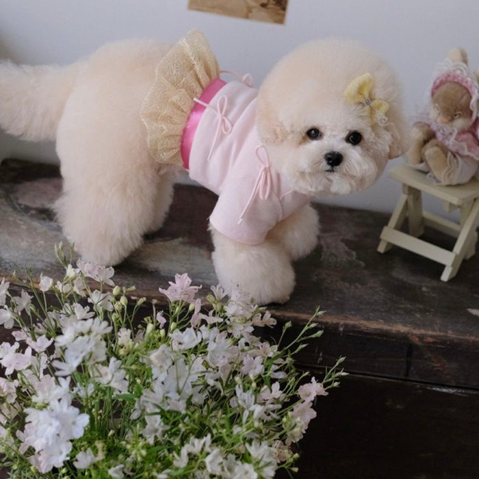 ͽBeBe BreathPury dressBaby pink ڹ ֥ 襤  ץ쥼  ...