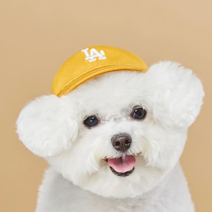 即納【MLB KOREA】MLB Basic Logo Cap（Mustard） 韓国 ブランド かわいい おしゃれ プレゼント 小型犬 お揃い リンクコーデ NEW 犬