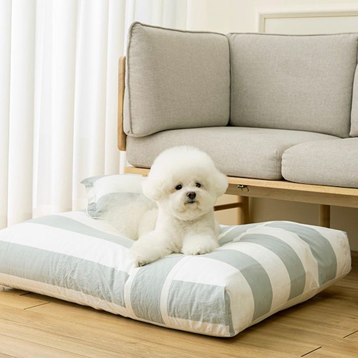 即納【Chiot】Comfort Coming Bed Cosy Stripe（Mint） ドッグベッド 犬用ベッド 犬用クッション ドッ..