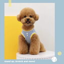 ※予約販売【Chiot】playball sleeveless（ブルー） 韓国 ブランド かわいい おしゃれ プレゼント 小型犬 NEW 春 夏 秋 冬