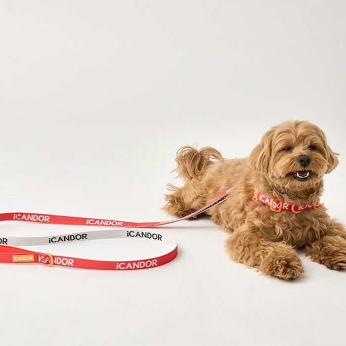 即納【iCANDOR】Gentle Leash（SIGNATURE） 韓国 犬用品 ドッググッズ 犬のリード 犬用リード 引き綱 りーど 犬リード 散歩リード 散歩グッズ