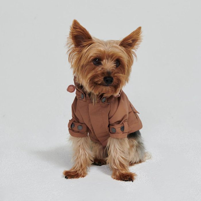 ¨Ǽmax boneTalon Raincoatcamel  ɥå 쥤󥳡 ⥰å  ɥåå ...