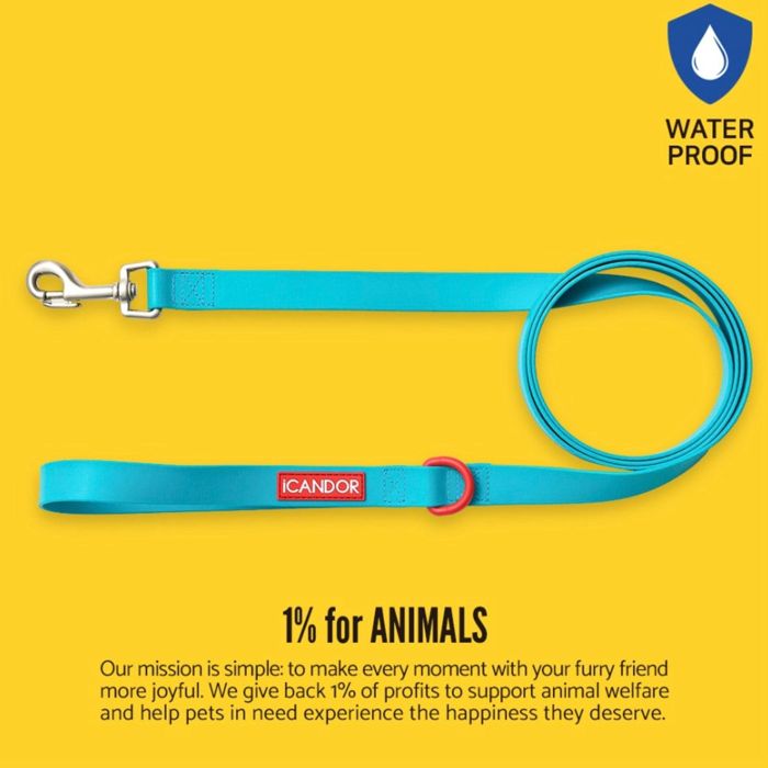 即納【iCANDOR】CAPRI WATERPROOF LEASH（Mint） 韓国 犬用品 ドッググッズ リード 散歩リード 犬のリード 犬用リード 引き綱 りーど 犬リード