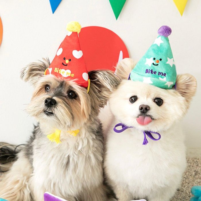 即納【BITE ME】Party Series happy party hat dog toy 3 peace 韓国 ブランド かわいい おしゃれ プレゼント 小型犬 おもちゃ ノーズワーク 犬用品 NEW 犬 知育 知育玩具 ペット用品