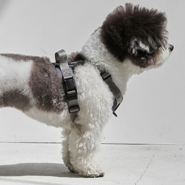 予約販売【andblank】Essential Pro Harness Gray 韓国 ブランド かわいい おしゃれ プレゼント 小型犬 首輪 ハーネス リード 散歩グッズ NEW 中型犬 丈夫 便利 大型犬 犬