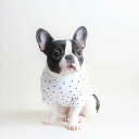即納【ZOOBICO】スタースタッズTシャツ（ホワイト×ブラック） 韓国 ブランド かわいい おしゃれ プレゼント 小型犬 NEW 春 夏 秋