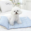 ※予約販売【ITS DOG】Premium Cooling Mat(Check Blue) ITS DOG Premium Cooling Mat Check Blue レーヨン素材 ひんやりクールマット 韓国 犬用品 ドッググッズ マット 犬マット