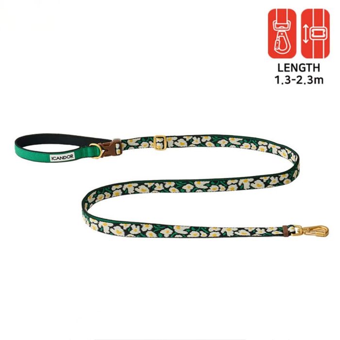 ͽiCANDORGentle Leash Bolt LongBIG FISH ڹ  ɥåå ꡼  ...