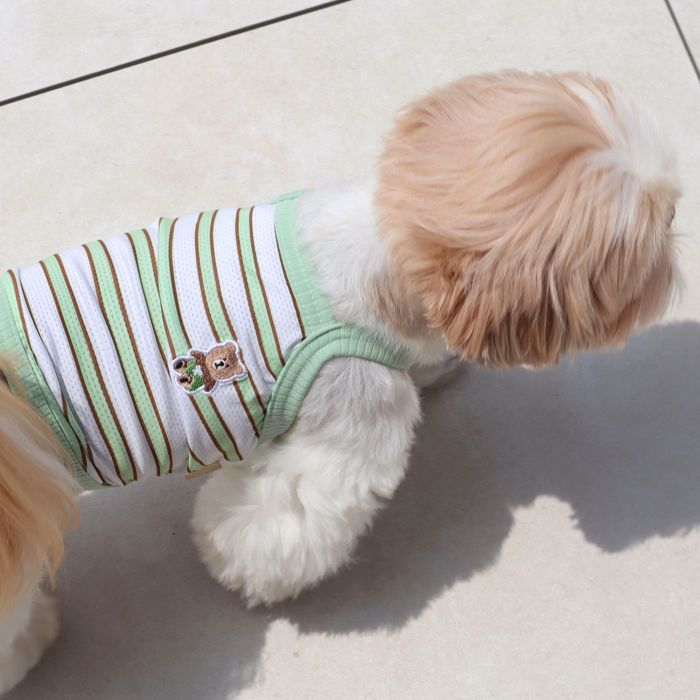 ͽDURANG RURANGStripe Bear Cool-TMint  ɥå    ...