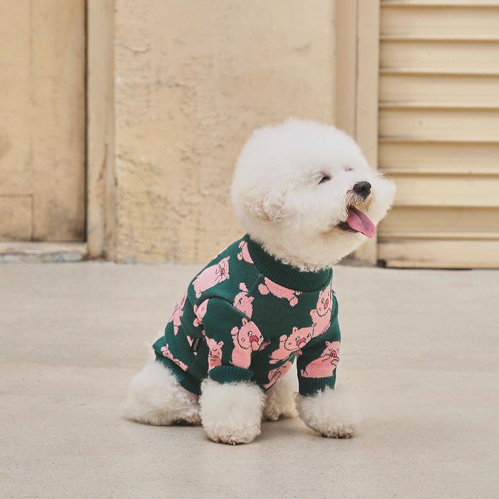 ¨ǼandblankPiggly Knit ڹ ֥ 襤  ץ쥼  NEW 淿    Ф...
