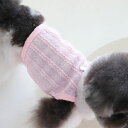 シンプルラブリーなChiot Muse Knit Top、高級感あふれるデザインで大人気!伸縮性と通気性抜群、真夏でも涼しく着用可能です。在庫限りの人気商品、お早めにお求めください。