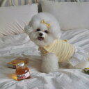 ※予約販売【Hi Yeboo】Cozy Skirt（Yellow） 韓国 ブランド かわいい おしゃれ プレゼント 小型犬 ワンピース ドレス NEW 春 夏 秋 冬