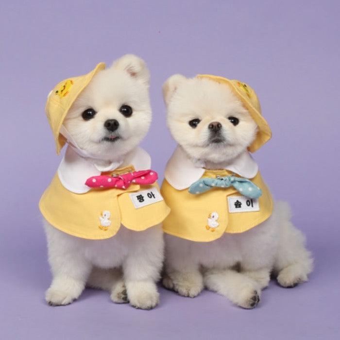 ※予約販売【Pets&Me】名入れ幼稚園スカーフ 韓国 ブランド かわいい おしゃれ プレゼント 小型犬 NEW 猫