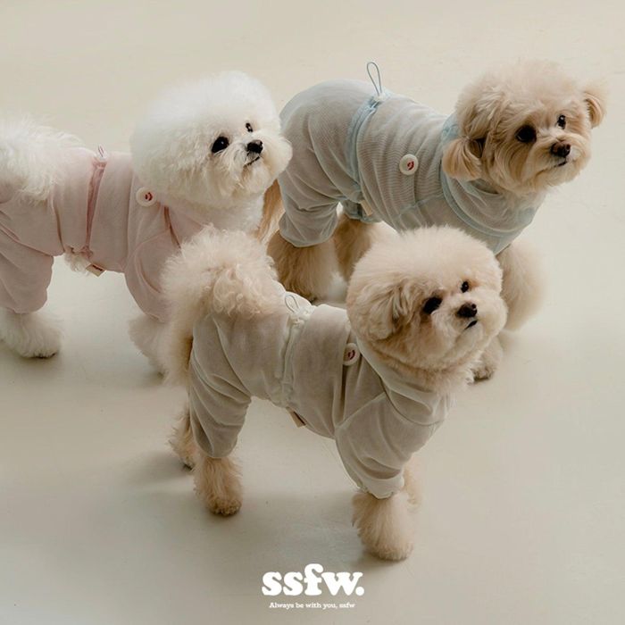 即納【ssfw】Zero bug All-in-one 犬服 ドッグウェア 犬の服 小型犬 小型犬服