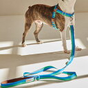 ※予約販売【iCANDOR】Gentle Leash（FOREST） Size:Free Color:MediumSeaGreen 犬リード 犬用リード 犬リード小型犬 リード小型犬 中型犬リード LEAD 犬用 ペット用 リード 散歩用品 散歩グッズ おしゃれ かわいい 犬 散歩 丈夫 軽い 都会的 韓国 便利 小型犬 中型犬