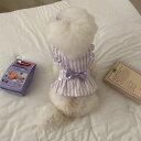 ※予約販売【Hi Yeboo】Chelsea Collection Crop(Purple) 韓国 ブランド かわいい おしゃれ プレゼント 小型犬 ワンピース...