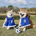 即納【FIFA WORLD CUP QATAR 2022_】FIFA muffler towel サッカー 日本代表 日本 ジャパン JAPAN お揃い リンク...