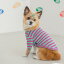 即納【BITE ME】Logo Wappen Tops 韓国 ブランド かわいい おしゃれ プレゼント 小型犬 NEW 春 夏 秋 犬