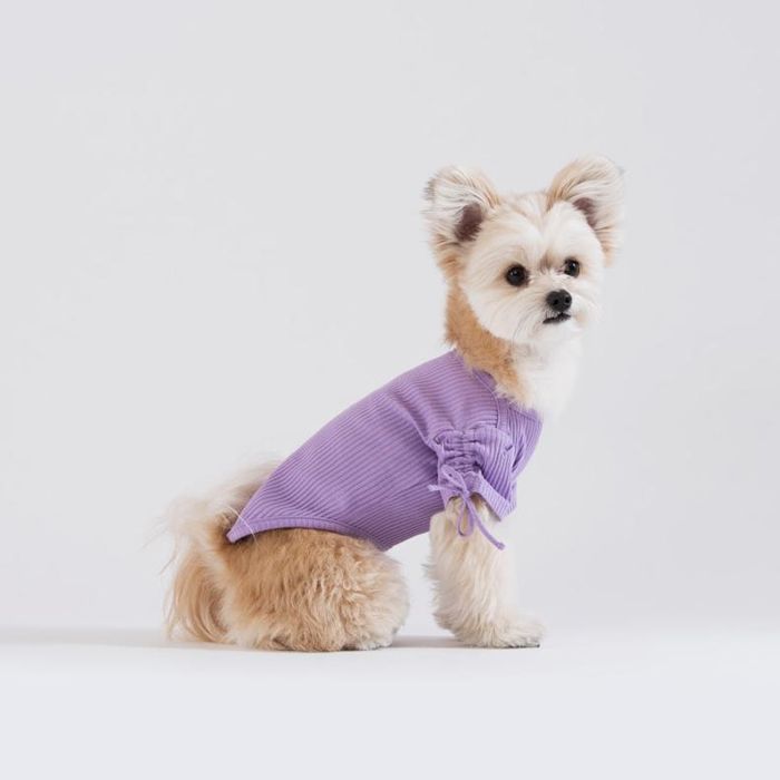 ¨ǼSniffGATHER SLEEVE RIB Tshirtʥ٥ ڹ ֥ 襤  ץ쥼  N...