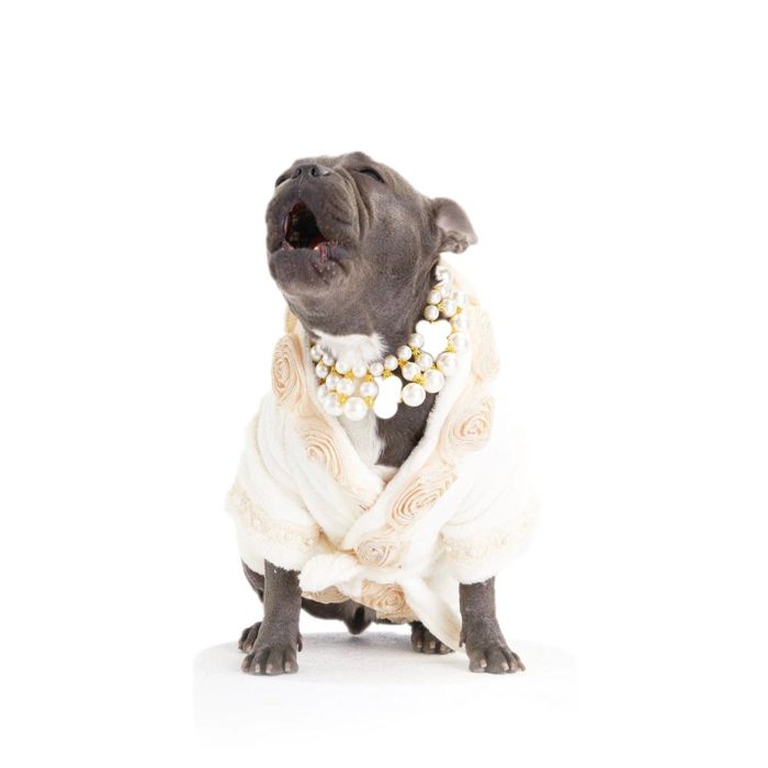 ͽMOSHIQAJuliet Dog Bathrobe