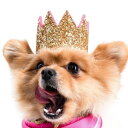 即納【MOSHIQA】Paris Collection Meta Dog Crown アメリカ 犬用品 ドッググッズ 首輪 犬の首輪 ドッグカラー 犬首輪 犬用...