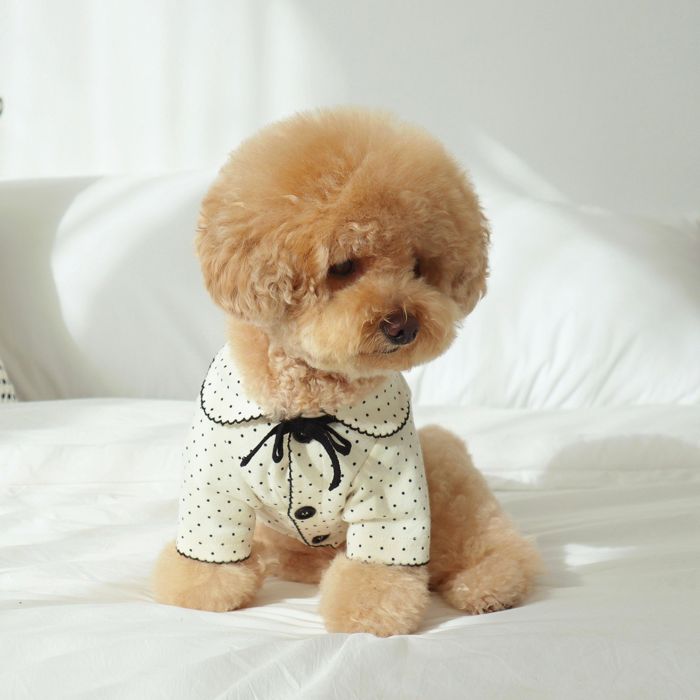 ※予約販売【DURANG RURANG】Dot Ribbon Cardigan（Oreo Cream） 犬服 ドッグウェア 犬の服 小型犬 小型..