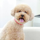 ※予約販売【maison de miu】Square Pearl Collar(Coral) 韓国 ブランド かわいい おしゃれ プレゼント 小型犬 首輪 タオ...