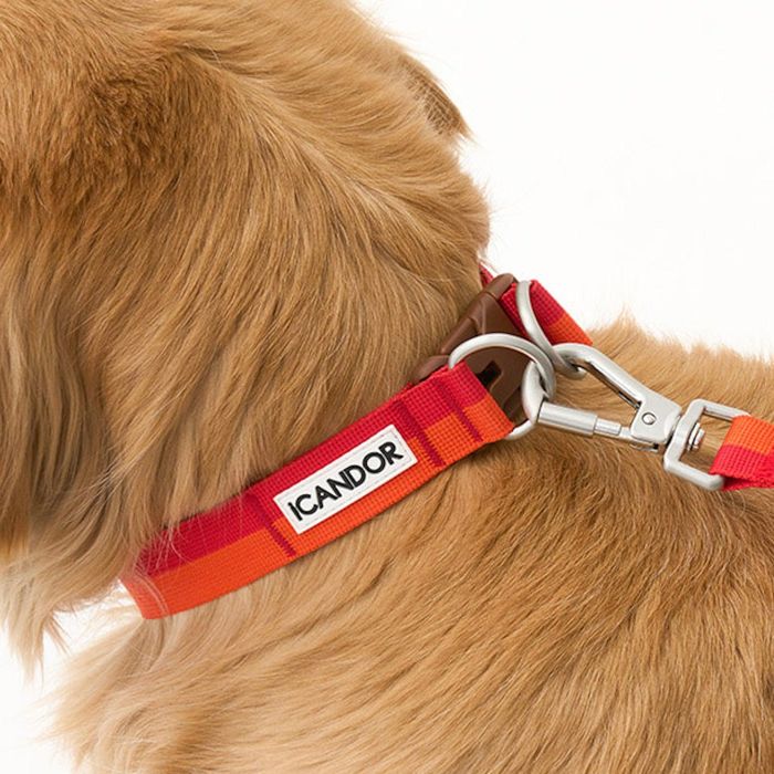 ※予約販売GentleCollar...