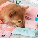 ※予約販売【BITE ME】Fluffy Towel Toy 韓国 ブランド かわいい おしゃれ プレゼント 小型犬 おもちゃ ノーズワーク マット 犬用品 タオル NEW 犬 知育 知育玩具 ペット用品