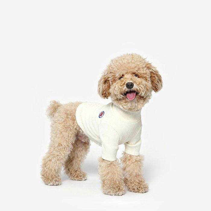 ※予約販売【TUSTUS】Soft neck（Ivory） 犬服 ドッグウェア 犬の服 犬用品 ドッググッズ 韓国 スリーブ..