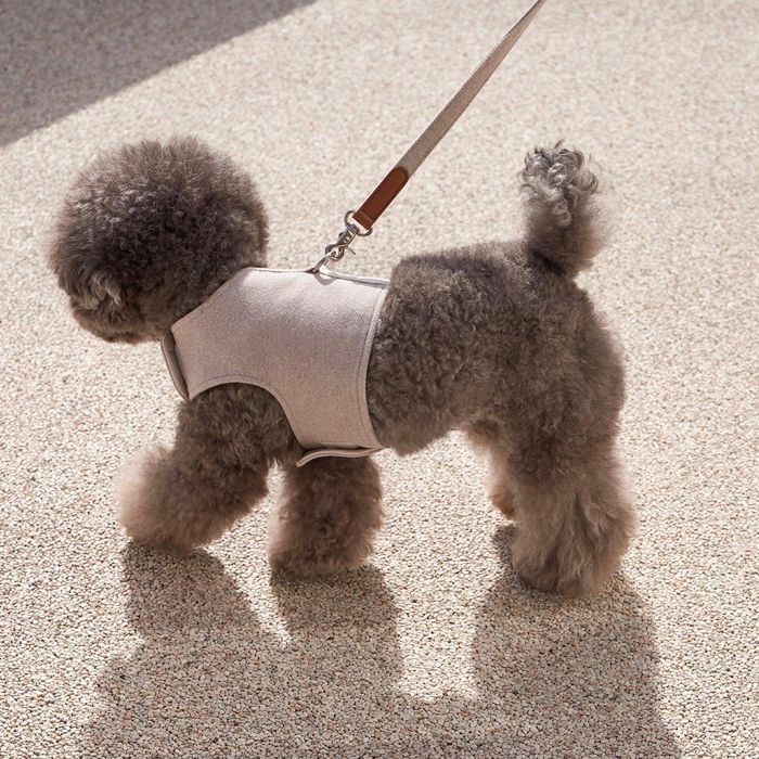 即納【small stuff】NEW WALK JACKET（OATMEAL） 韓国 ブランド かわいい おしゃれ プレゼント 小型犬 ハーネス リード ネームタグ 散歩グッズ NEW 春 夏 丈夫 犬