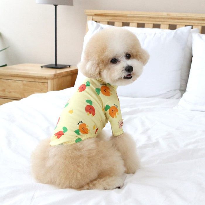 ͽITS DOGWarm-up heat t-shirt (Yellow)  ɥå    ...