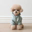 ※予約販売【Chiot】Seersucker light jumper（Green） 韓国 ブランド かわいい おしゃれ プレゼント 小型犬 NEW 春 夏 秋 軽量 雨
